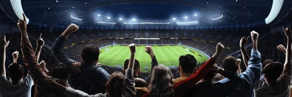 球迷在现场为球队加油助威